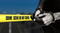 US News | Michigan Walmart |Stabbing