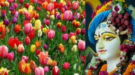 Lord Shiv Puja