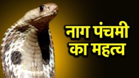 Nag Panchami 2025