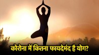 International Yoga Day 2025