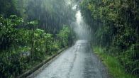 Monsoon Tips