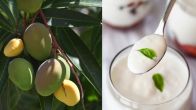 Mango Benefits