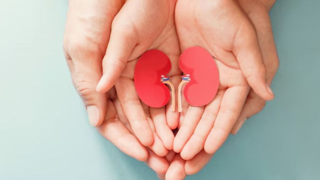 Kidney Disease: