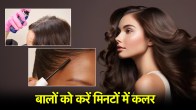 Hair Care Tips