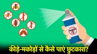 Monsoon Tips