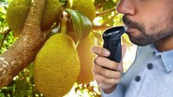 Breathalyzer Test
