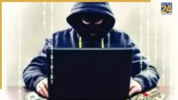 Cyber Fraud Noida