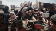 Gaza | UN Report | Israel Hamas War