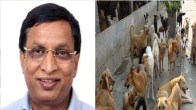 Karnataka News, Chikkamagaluru Municipal Council, SL Bhojegowda, Street Dog, Spureme Court, Karnataka Assembly, Karnataka, कर्नाटक खबर, चिक्कमगलुरु नगर परिषद, एसएल भोजेगौड़ा, आवारा कुत्ते, सुप्रीम कोर्ट, कर्नाटक सदन