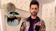 Rahul Vaidya