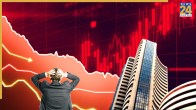 stock market down