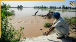 Punajb News, Punjab Flood, Punjab Government, Aap Government, Farmers Compensation News24