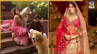 sunny sanskari ki tulsi kumari, Rohit Saraf, janhvi Kapoor