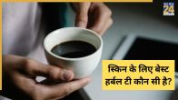 Best Herbal Tea For Skin