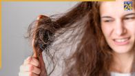 Dry Hair