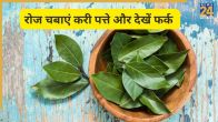 क्या आप रोज सुबह करी पत्ता चबाते हैं?- Image Source Freepik