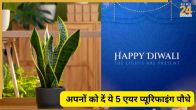 Diwali Gifting Ideas