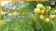 Amla-Navami