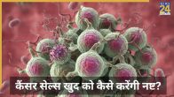 Cancer Treatment