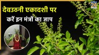 Devuthani Ekadashi 2025