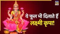 Lakshmi-Puja-Flowers