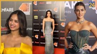 Filmfare Awards 2025