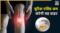 URIC ACID reducing tips