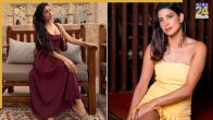 Rise And Fall, Ahana Kumra, Ahana Kumra Claims Dhanashree playing Victim Card