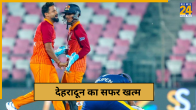 cricket News