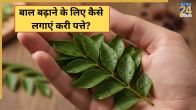 curry leaves for hair