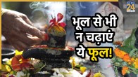 shivling-puja-niyam
