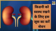 Healthy kidney