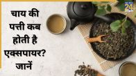How to know tea is expired