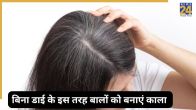 Homemade grey hair spray