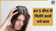 seeds for hair