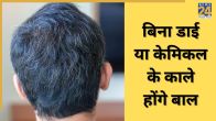 White Hair Home Remedies