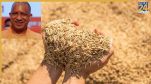 Yogi government agriculture