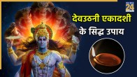 Devuthani Ekadashi 2025 Upay