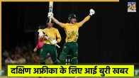 Dewald Brevis
