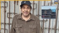 Dharmendra