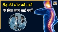 body fat turn into bone heal spinal fractures study