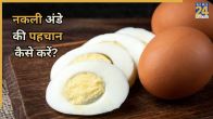 Fake Egg Identification