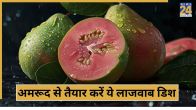 Guava Papad Recipe