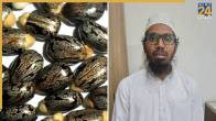 Gujarat Terror Conspiracy