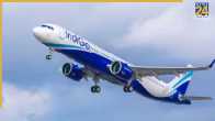 Indigo Flight