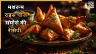 Mushroom Rice Cheese Samosa Recipe