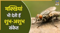 Shakun Shastra
