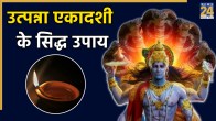 Utpanna Ekadashi 2025 Vrat Upay