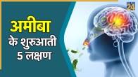 Amoeba symptoms for baby