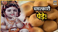 brahmand-bihari-mandir-mitti-ke-pede